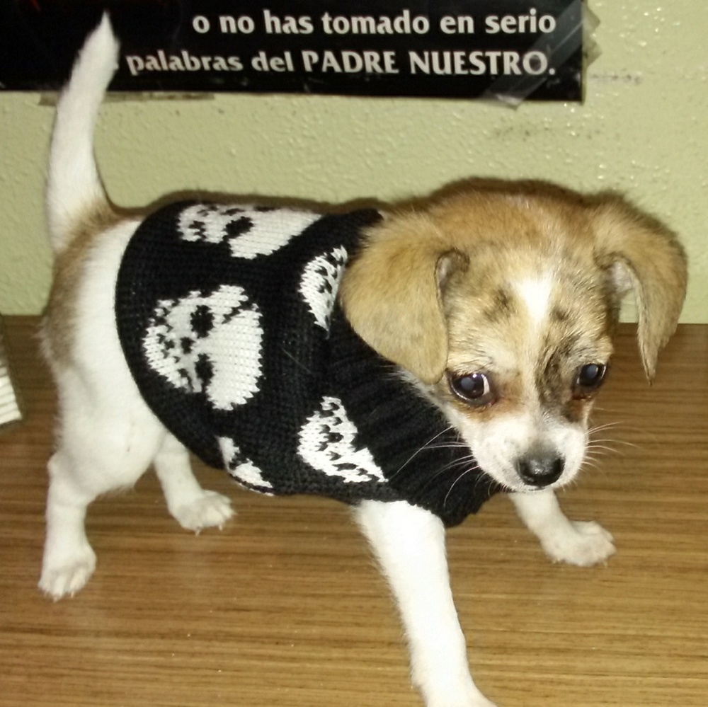 Meet your Posher, Lupita
